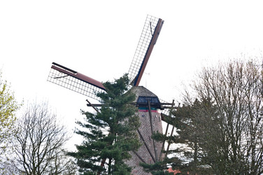 Similar image 1029225