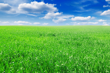 Similar image 1029378