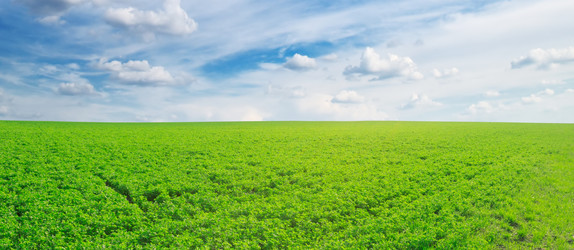 Similar image 1029379