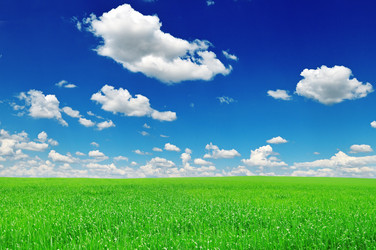 Similar image 1029380