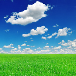 Similar image 1029381