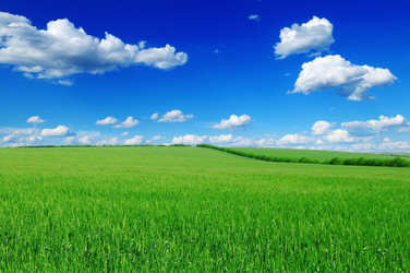 Similar image 1029382