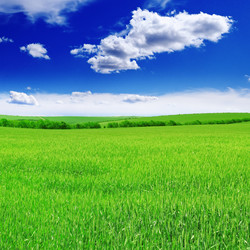 Similar image 1029385