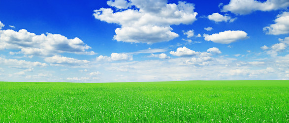 Similar image 1029389