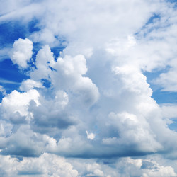 Similar image 1029402