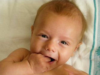 Similar image 1029440