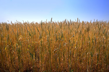 Similar image 1029537