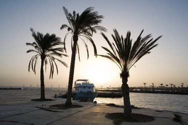 Similar image 1029596