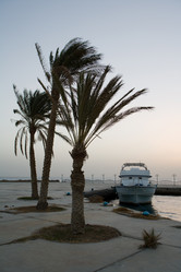 Similar image 1029597