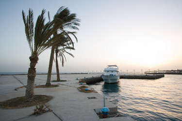 Similar image 1029599