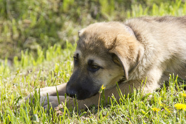 Similar image 1029613