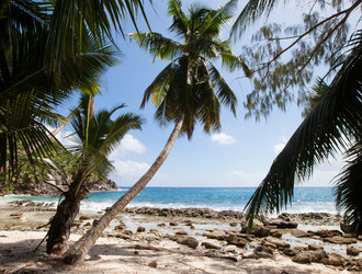 Similar image 1029639