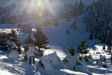 Similar image 1029658