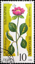 Similar image 1029679