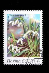 Similar image 1029682