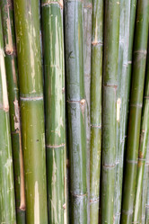 Similar image 1029684