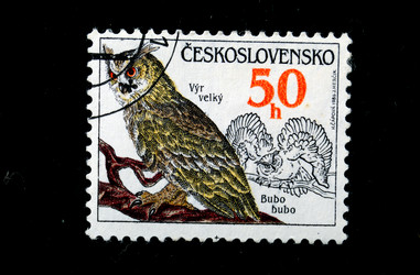 Similar image 1029685