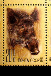 Similar image 1029686