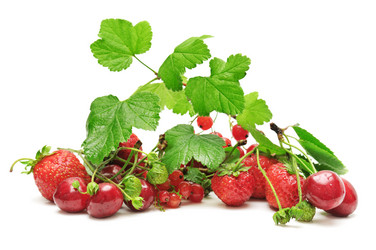 Similar image 1029699