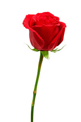 Similar image 1029723