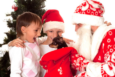 Similar image 1029761