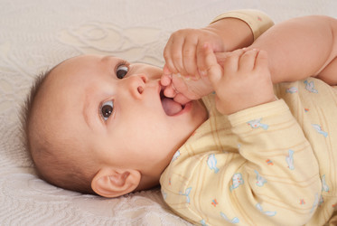 Similar image 1029865