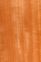 Similar image 1030043