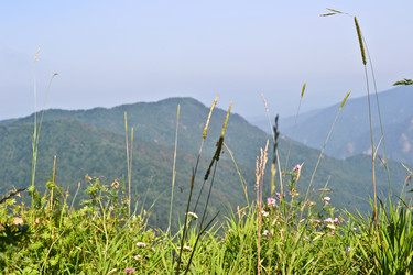 Similar image 1030155