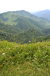 Similar image 1030157