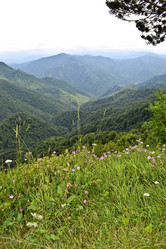 Similar image 1030159