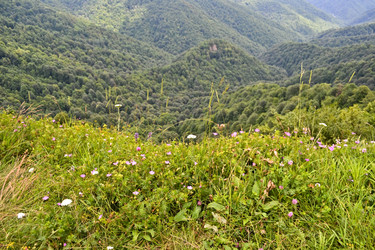 Similar image 1030160