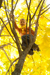 Similar image 1030221