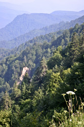 Similar image 1030224