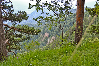 Similar image 1030225