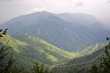 Similar image 1030228