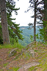 Similar image 1030229