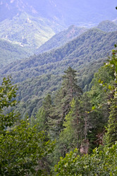 Similar image 1030230