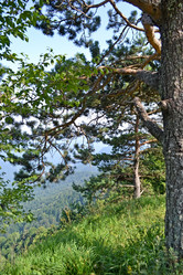 Similar image 1030231