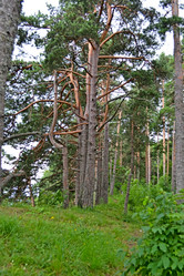 Similar image 1030234