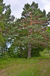 Similar image 1030235