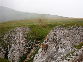 Similar image 1030241