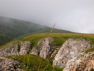 Similar image 1030242