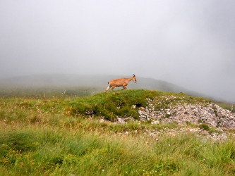 Similar image 1030244