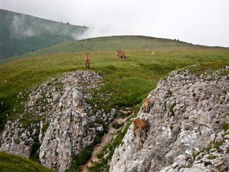 Similar image 1030246