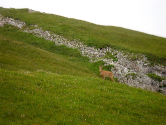 Similar image 1030248