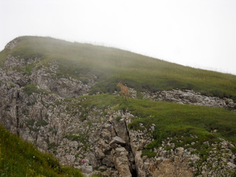 Similar image 1030249