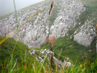 Similar image 1030250