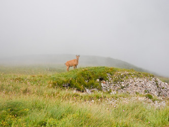 Similar image 1030254