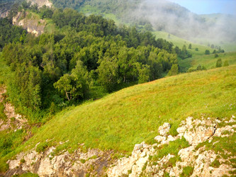 Similar image 1030256