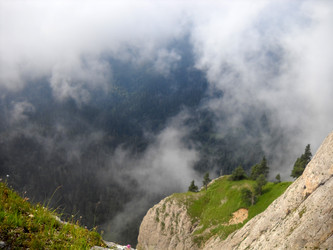 Similar image 1030263